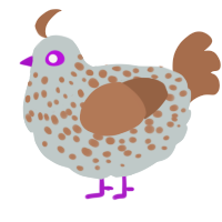 A silver and brown chicken with a speckle pattern