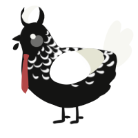 A black and white chicken with a half-lace pattern