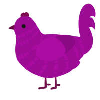 A plum chicken with a bar pattern