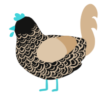 A black and beige chicken with a double-lace pattern