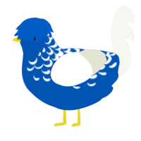 A ultramarine and white chicken with a half-lace pattern