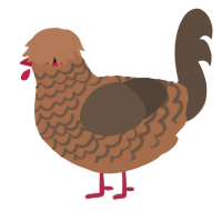 A brown and bark chicken with a lace pattern