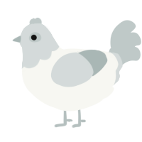 A white and silver chicken with a head pattern
