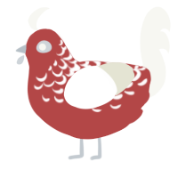 A red and white chicken with a half-lace pattern