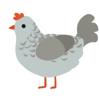 A silver and ash chicken with a half-lace pattern