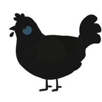 A black chicken with a half-bar pattern