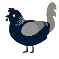 A tumblr and ash chicken with a neck-band pattern