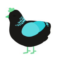 A sable and aqua chicken with a neck-band pattern
