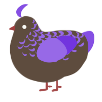 A bark and blurple chicken with a half-lace pattern