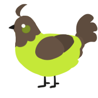 A lime and bark chicken with a head pattern
