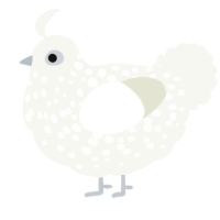 A white chicken with a speckle pattern
