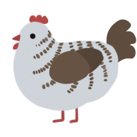 A mist and bark chicken with a half-bar pattern
