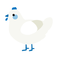 A white chicken