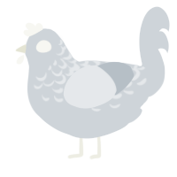 A mist chicken with a half-lace pattern