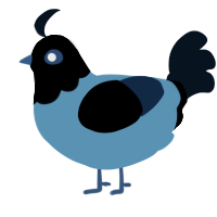 A brown and cream chicken with a head pattern