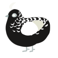 A sable and white chicken with a half-lace pattern