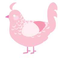 A rose chicken with a half-lace pattern
