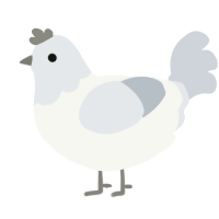 A white and mist chicken with a head pattern