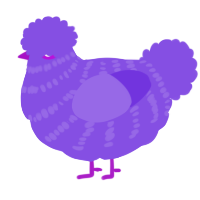 A blurple chicken with a bar pattern