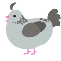 A silver and grey chicken with a neck-speckle pattern