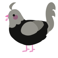 A black and ash chicken with a head pattern