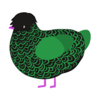 A sable and viridian chicken with a double-lace pattern
