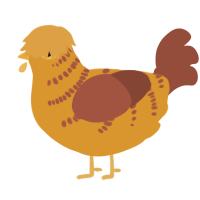 A orange and russet chicken with a half-bar pattern