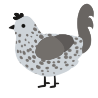 A mist and grey chicken with a speckle pattern