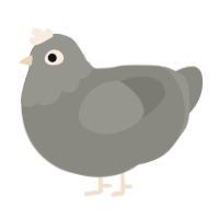 A ash chicken with a head pattern