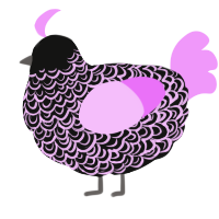 A black and lavender chicken with a double-lace pattern