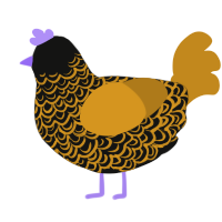 A black and ochre chicken with a double-lace pattern