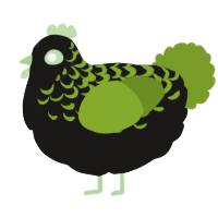 A sable and chartreuse chicken with a half-lace pattern