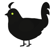 A black chicken with a head pattern