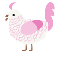primrose, a white and pink chicken with a lace pattern