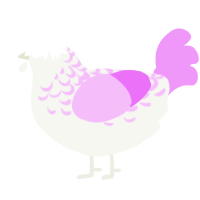 Kalliope, a white and lavender chicken with a half-lace pattern