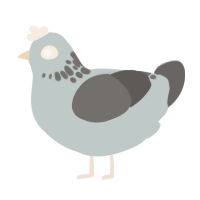 voted wrong party, a silver and grey chicken with a neck-speckle pattern