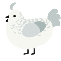 Sheer Ice Torrent, a white and silver chicken with a half-lace pattern
