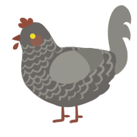 A grey and ash chicken with a lace pattern