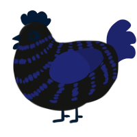 Black hole, a black and navy chicken with a bar pattern