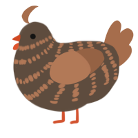 A bark and brown chicken with a bar pattern