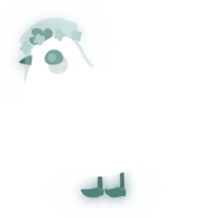 A white chicken with a lace pattern