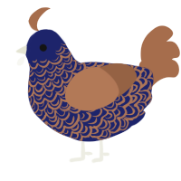 A navy and brown chicken with a double-lace pattern