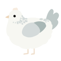 Heavenly project wip, a white and silver chicken with a neck-speckle pattern