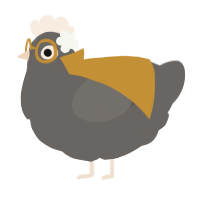 Rock, a grey chicken