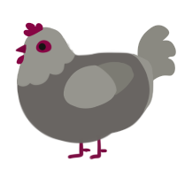 Simple Pigeon, a grey and ash chicken with a head pattern