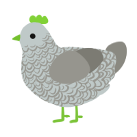 A silver and ash chicken with a double-lace pattern