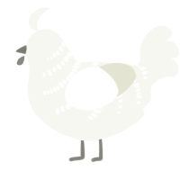 Blanc, a white chicken with a half-bar pattern