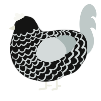 A black and silver chicken with a lace pattern
