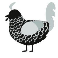 x4 Mods to Black, a black and silver chicken with a lace pattern