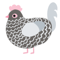 Missionary, a grey and mist chicken with a lace pattern